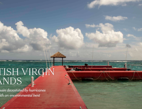 The British Virgin Islands – #2 of places to visit in 2020